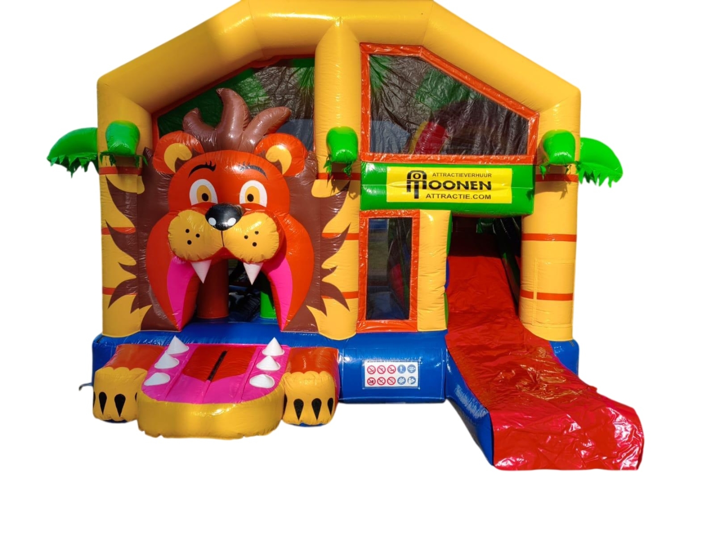 Multiplay - Lion