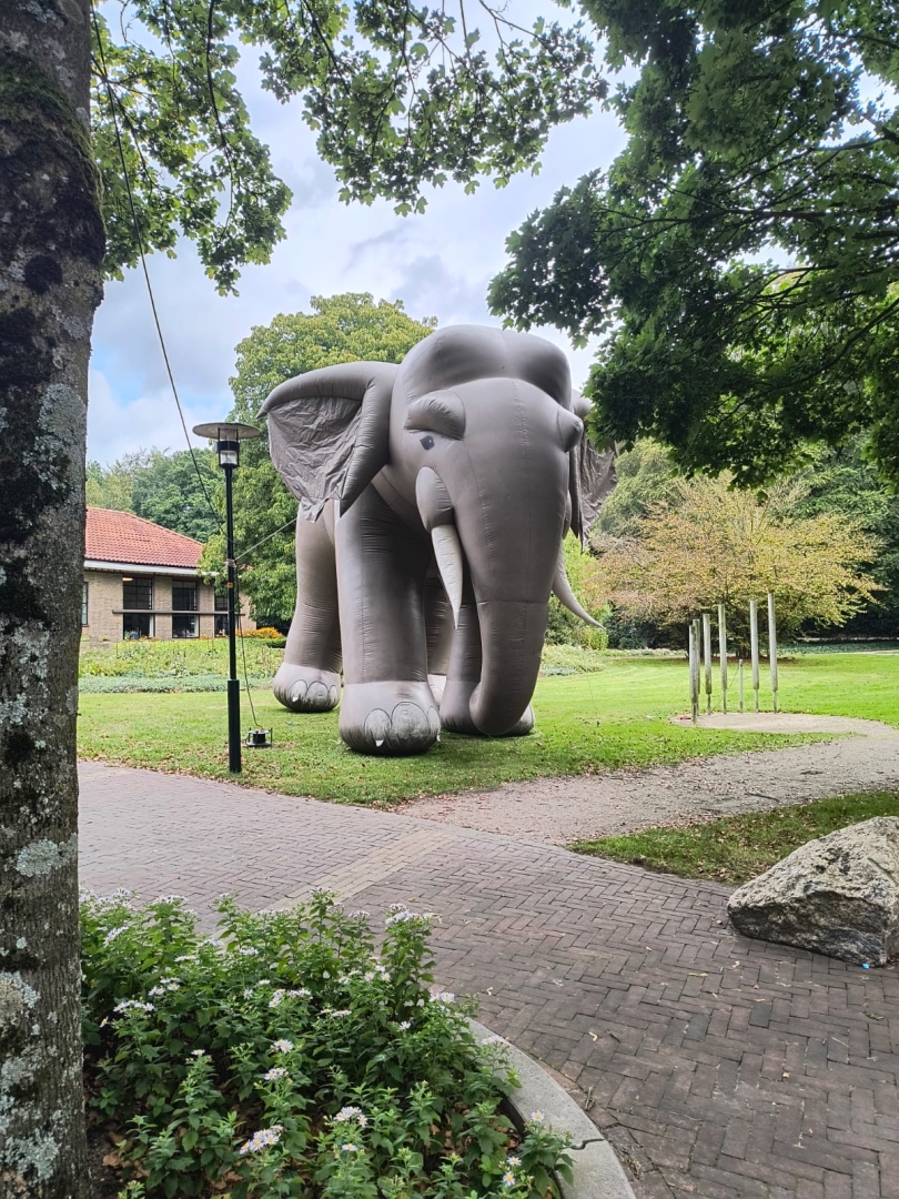Olifant opblaasbaar