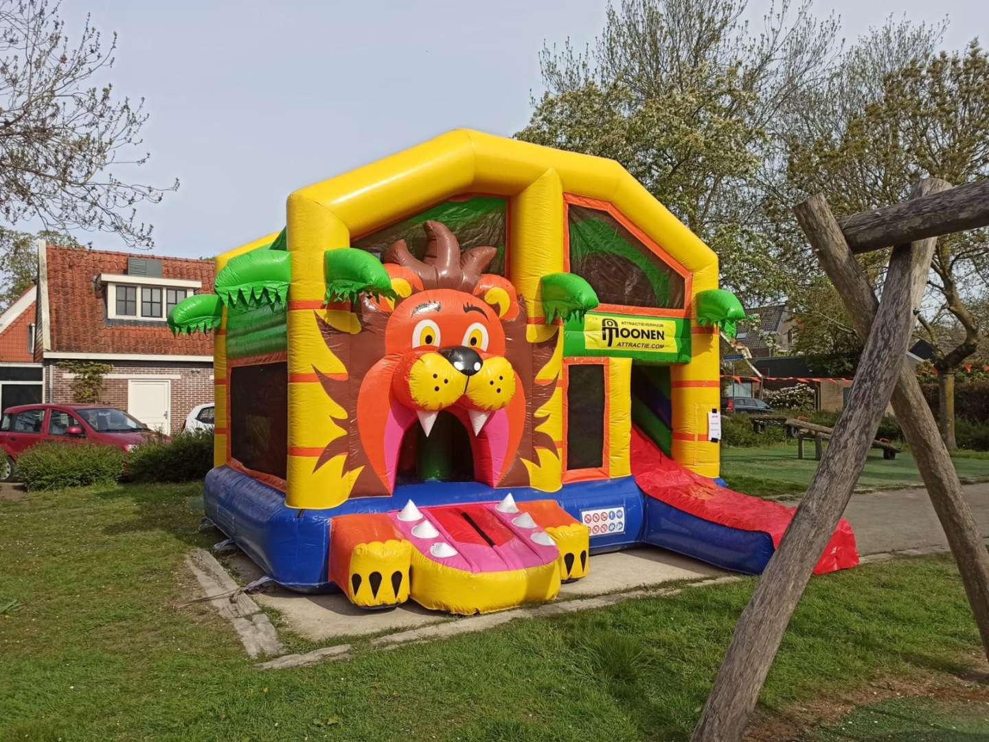 Multiplay - Lion