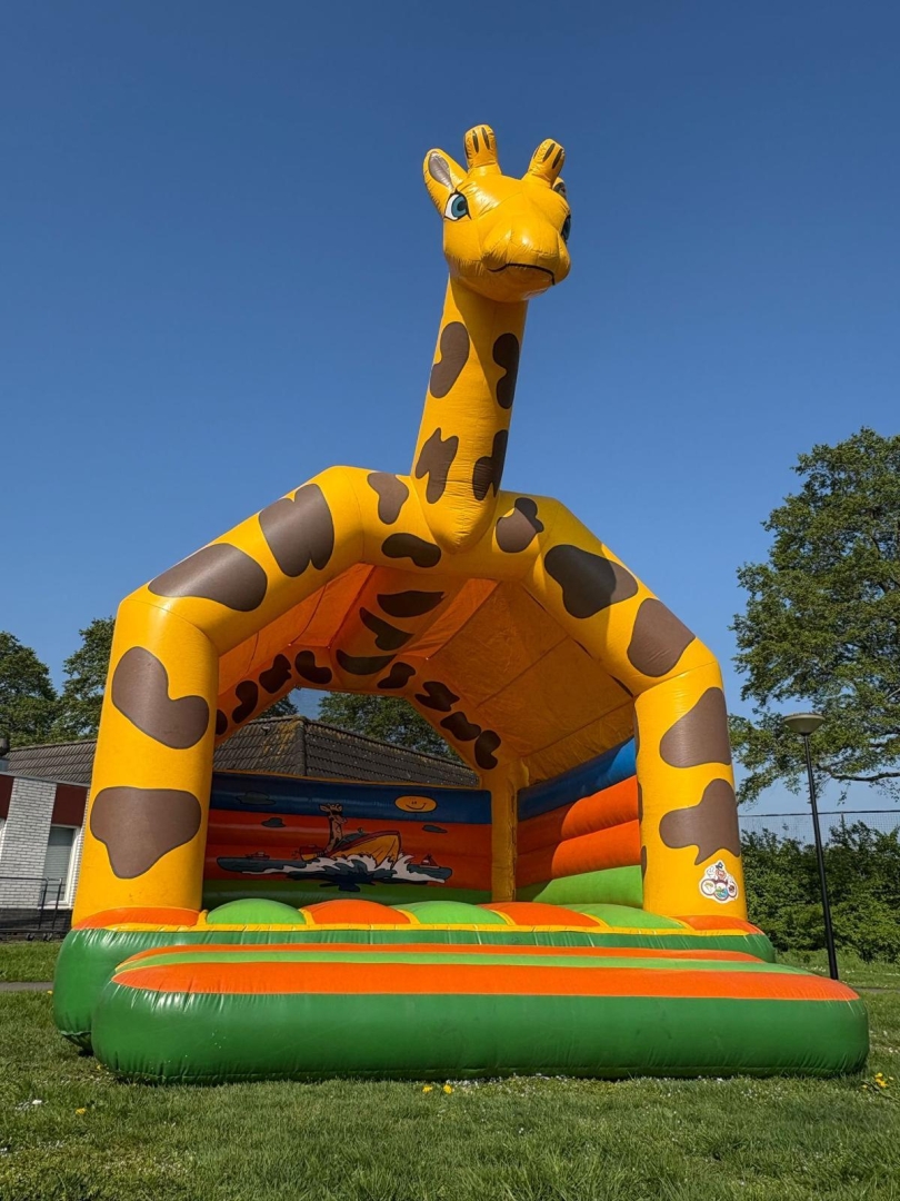 Giraffe 6 x 5