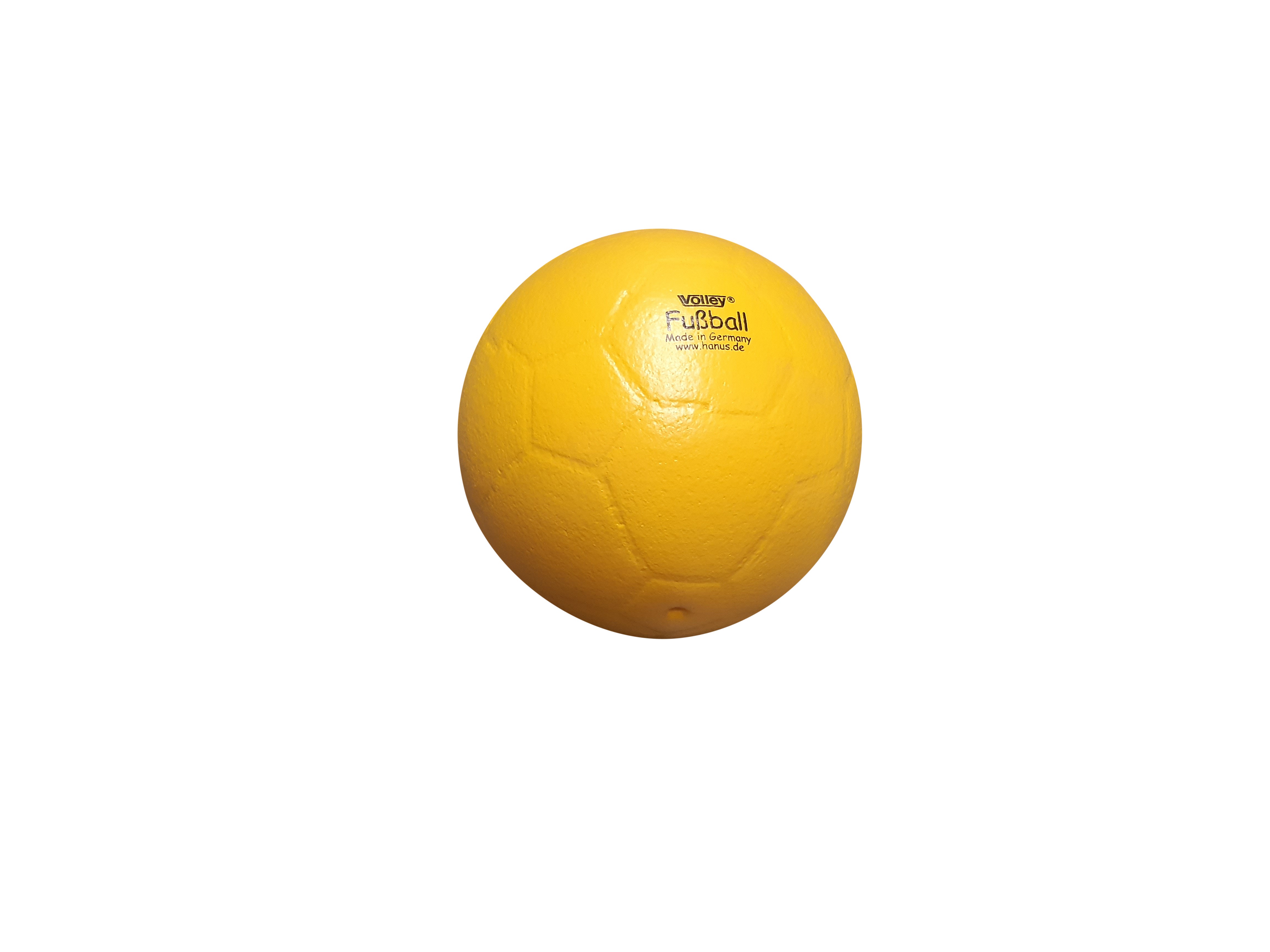 Volley playbal (schuimbal) - Attractieverhuur Moonen